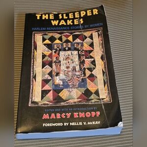 The Sleeper Wakes: Harlem Renaissance Stories by Women